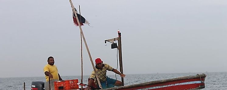 FAO promueve cooperación técnica para combatir pesca ilegal FAO promueve cooperación técnica para combatir pesca ilegal