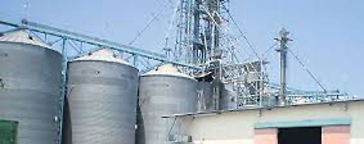 Instituto de Mercadeo Agropecuario pone a disposición de productores sus infraestructuras y servicios Instituto de Mercadeo Agropecuario pone a disposición de productores sus infraestructuras y servicios