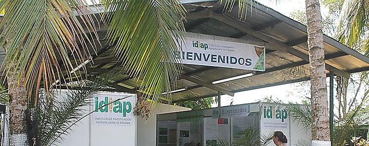IDIAP presenta ciencia y tecnologa en la feria de La Candelaria