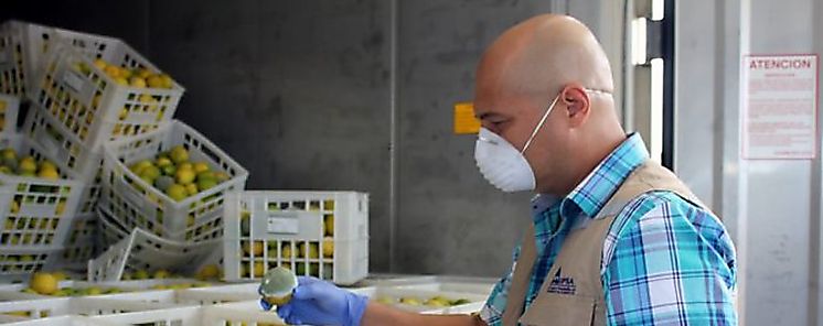 AUPSA garantiza los alimentos que ingresan al pas