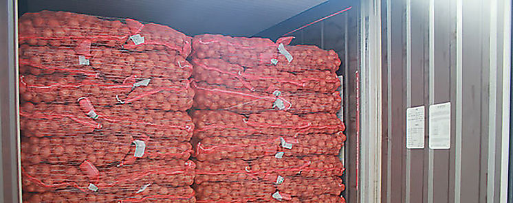 Decomisan cebollas que fueron declaradas como jabn