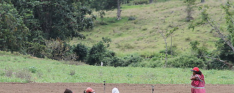 Falta de crditos y tecnologas daan agricultura indgena en Panam