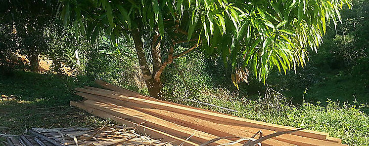 Decomisan madera en Panam Norte