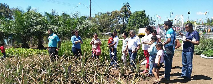 Beneficiarios del programa Familias Unidas realizan gira a parcela demostrativa 