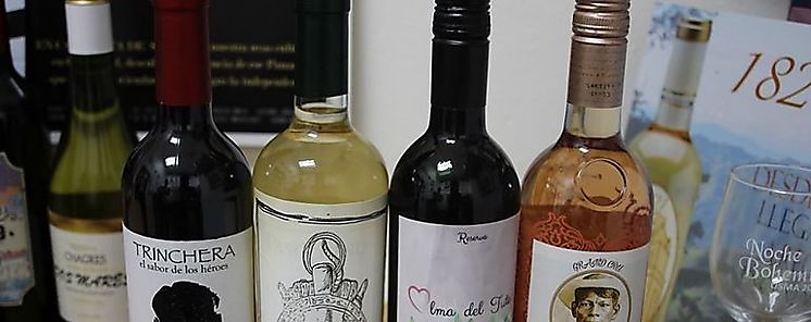 Estudiantes de Comunicación Social de la USMA diseñan etiquetas para nuevos vinos Estudiantes de Comunicación Social de la USMA diseñan etiquetas para nuevos vinos