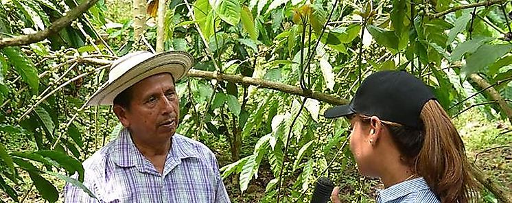 Un terreno sin titular es como un hijo sin registrar