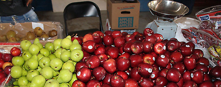 Cotización de alimentos se mantuvo estable en agosto informa FAO Cotización de alimentos se mantuvo estable en agosto informa FAO