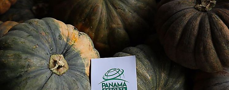 Veintiocho empresas nacionales muestran al mundo nuestro potencial exportable bajo Panamá Exporta  Veintiocho empresas nacionales muestran al mundo nuestro potencial exportable bajo Panamá Exporta