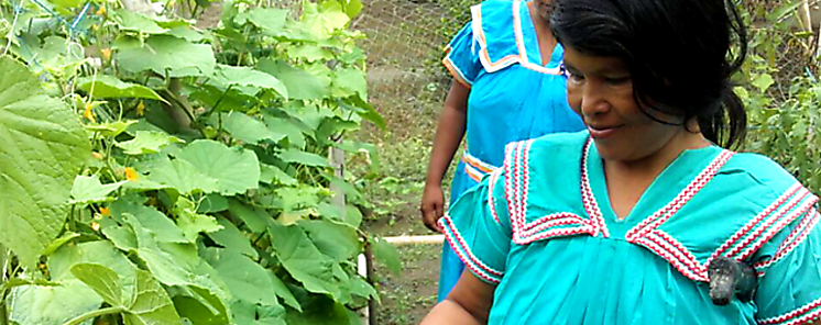 Vicepresidenta y Canciller destaca aportes de la Mujer Rural  Vicepresidenta y Canciller destaca aportes de la Mujer Rural