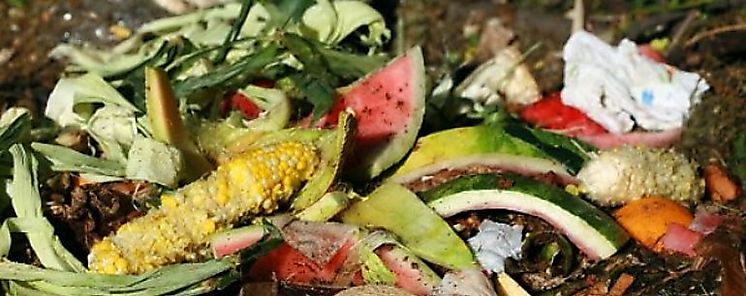 BID y socios presentan plataforma para reducir pérdidas y desperdicios de alimentos  BID y socios presentan plataforma para reducir pérdidas y desperdicios de alimentos