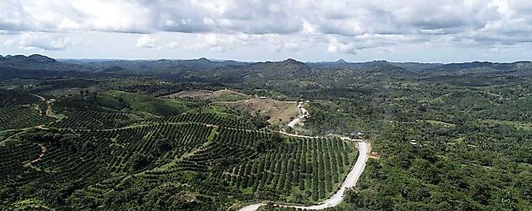 Productores de TamboEl Bajito de San Miguel recibirn nueva carretera