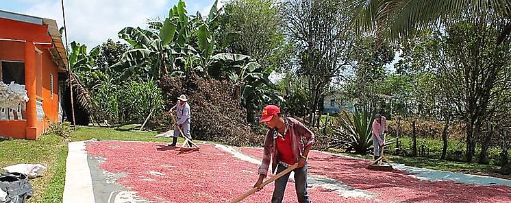 Productores de Santa Rosa Participan en evento de extensin 
