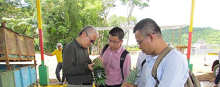 Delegación de la República Popular China visitó plantas exportadoras en Chiriquí  Delegación de la República Popular China visitó plantas exportadoras en Chiriquí