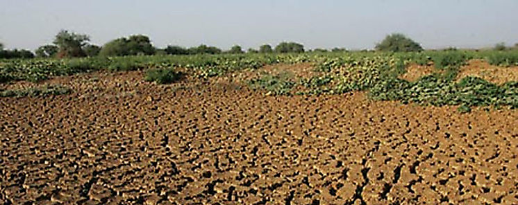 Puede la tecnologa frenar la desertificacin