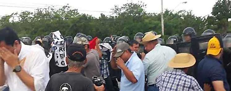 Ganaderos panameos reinician protestas contra el gobierno