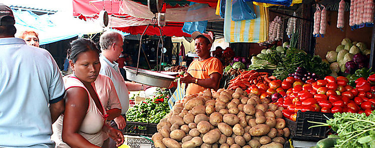 La FAO urge a transformar los sistemas alimentarios en Amrica Latina