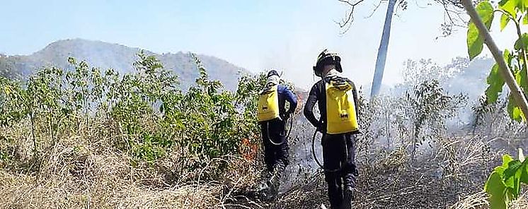 Emiten aviso de prevencin hasta el viernes por incremento de incendios de masa vegeta