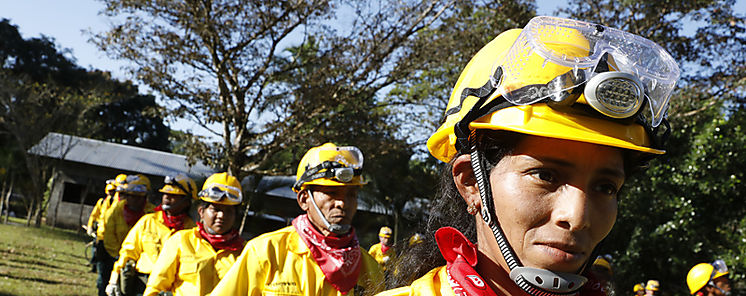 Ministerio de Ambiente capacita voluntarios para operativos de verano  Ministerio de Ambiente capacita voluntarios para operativos de verano