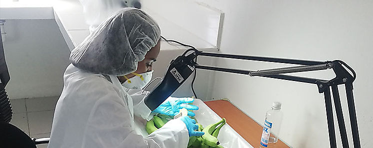 AUPSA fortalece su capacidad de análisis de alimentos AUPSA fortalece su capacidad de análisis de alimentos