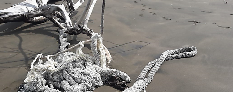 Funcionarios rescatan redes de pesca fantasmas en Darin
