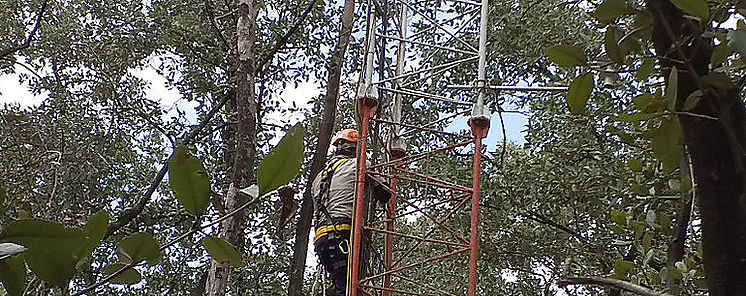 Investigadores del CIHH realizan gira a manglar de Juan Daz