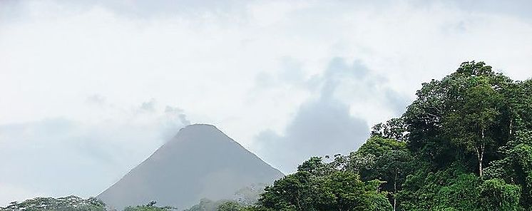 La naturaleza no podr cuidarnos en los prximos 30 aos