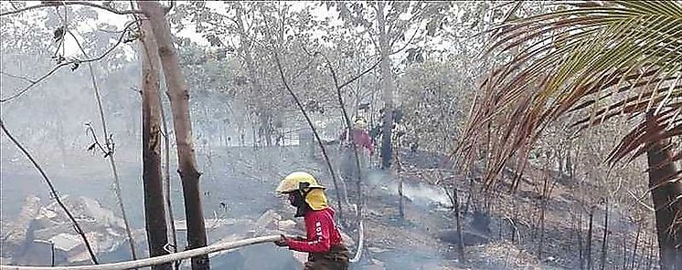 La Chorrera con mayor indice de incendios de masa vegetal