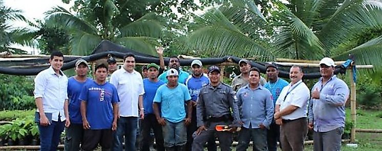 El programa Sembrando PazReforestando Vidas llega a Bocas del Toro