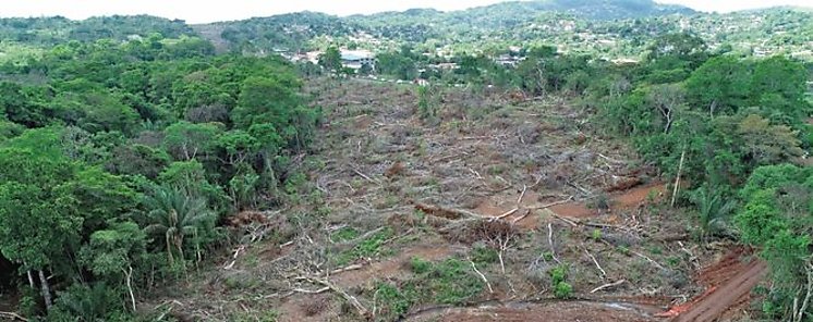 Estrategia Nacional Ambiental entrar en proceso de consulta