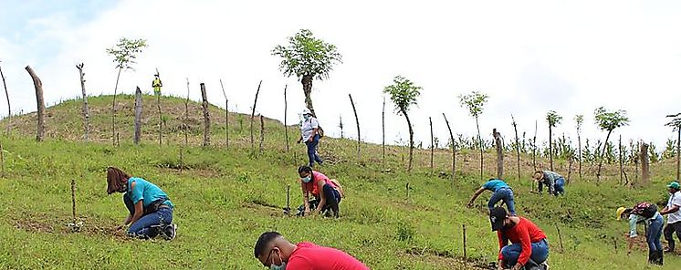 Clausura Herrera su Plan de Reforestacin 2020