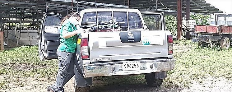 MiAmbiente supervisa vertidos incontrolados a quebradas MiAmbiente supervisa vertidos incontrolados a quebradas