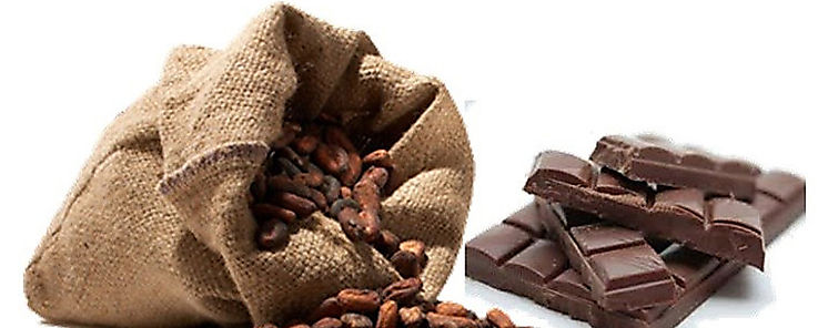 El cacao ayuda al cerebro a solucionar tareas complejas
