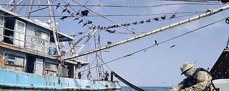 Entidades estatales buscan agilizar prestamos para el sector pesquero