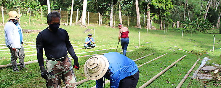 Regional de Panam Oeste reactiva vivero en El Cacao para reforestar cuencas hidrogrficas de Capira
