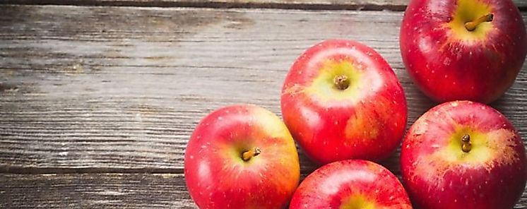 Descubren un vital beneficio de las manzanas