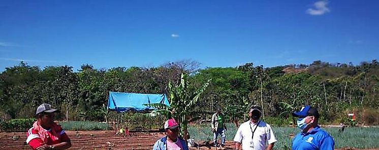 MIDES impulsa instalacin de sistema de riego en beneficio de mujeres de Nat