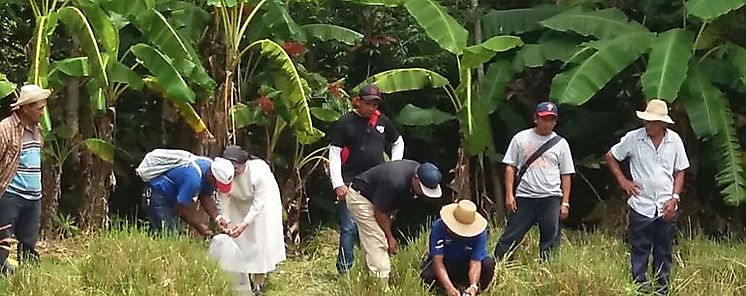 67 familias en la comarca Ngbe Bugl se benefician con la siembra de tilapias 