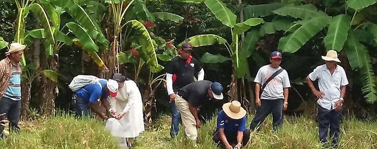 Impulsan ms de 25 mil emprendimientos agrcolas