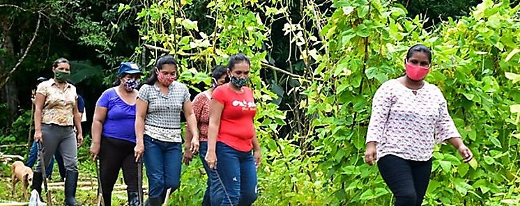 Agricultura familiar latinoamericana acceder a soluciones digitales