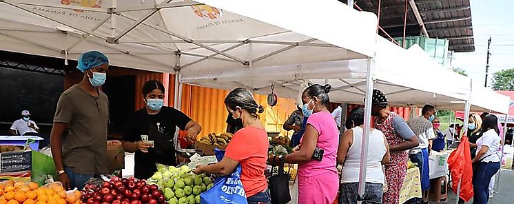 Ferias Alimentos RIMMU en los corregimientos del Distrito de Panamá