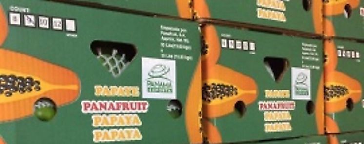 Empresa chiricana represento a Panamá en Fruit Logística de Alemania