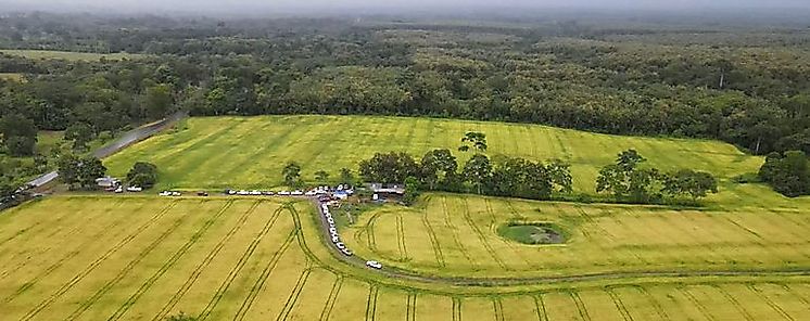 FAO alerta sobre empeoramiento agroalimentario