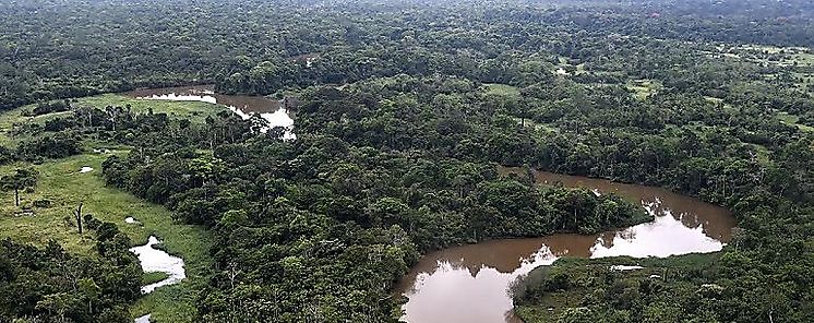 Lanzan Observatorio Regional de la Amazonia