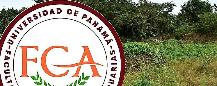 Facultad de Ciencias Agropecuarias de la UP acredito cuatro de sus carreras