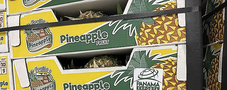 Exportación de fruta panameña arranca con buen ritmo en el 2022