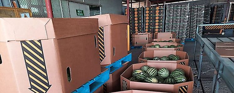 COMEXA exportara sanda a mercado holands