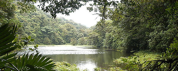 Costa Rica amplió en 16 millones de hectáreas ecosistemas protegidos