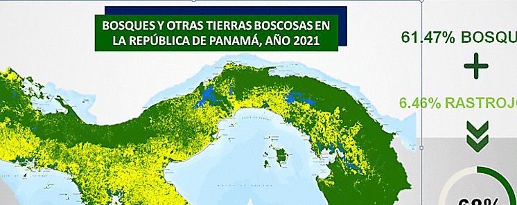 Panam incrementa en un 3 su cobertura boscosa