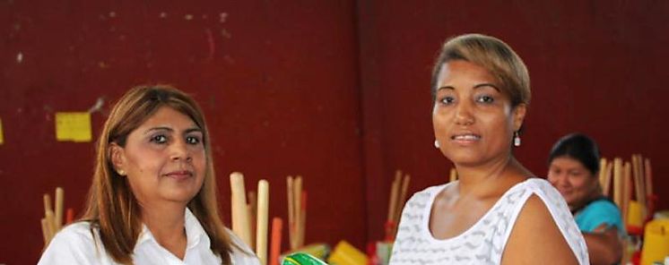 CINAP Administrador de Fondos para la Implementacin de  150 Huertos en el Distrito de Panam