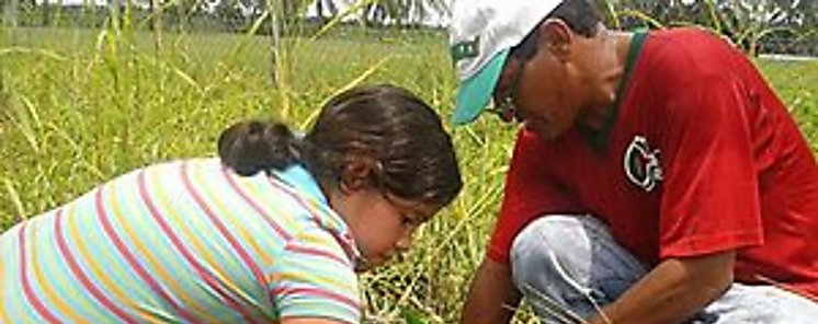 ANAM realiz reforestacin en la comunidad del corregimiento de Dvala